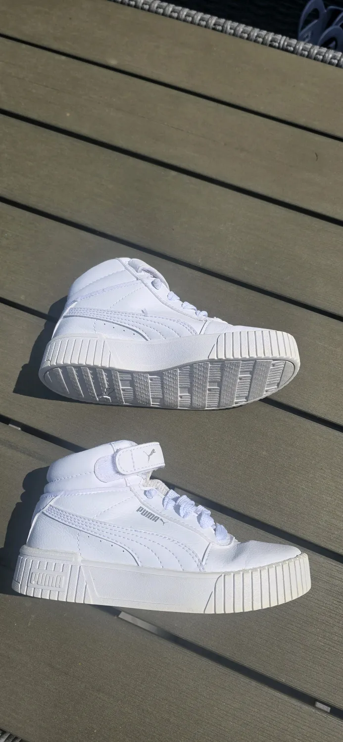 Puma