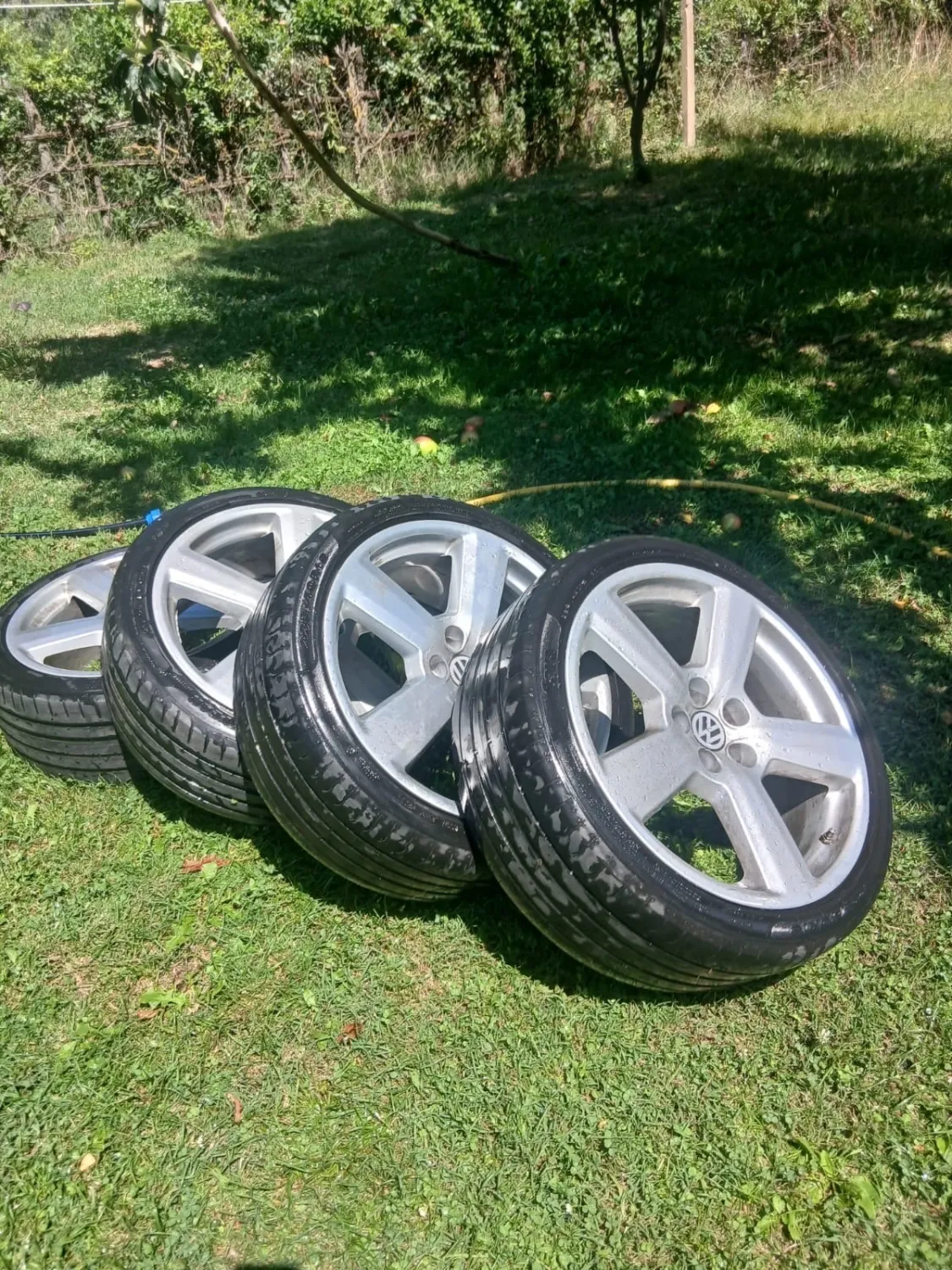 fellge 5x100