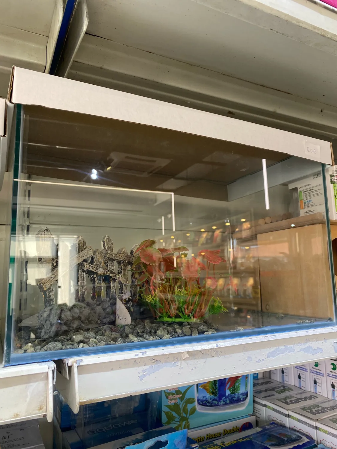 Akuarium per peshqi