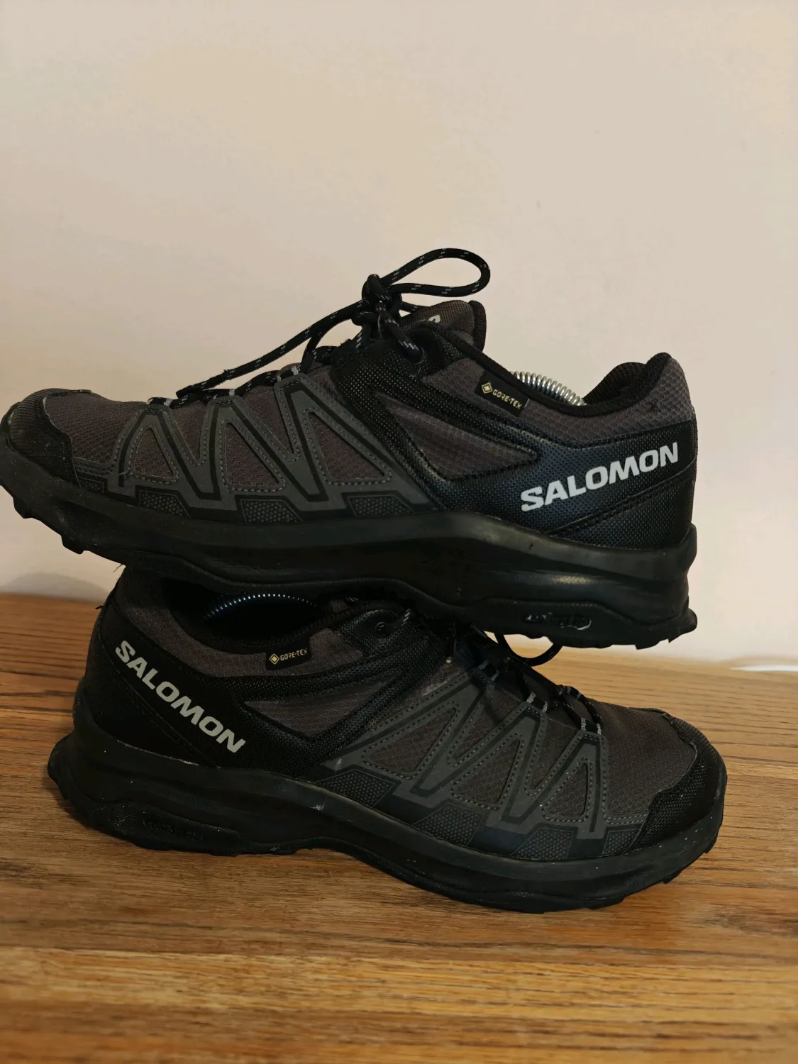 Salomon - Men's Hiking Shoes Gore-Tex
