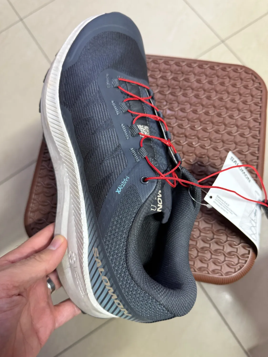 Salomon vision