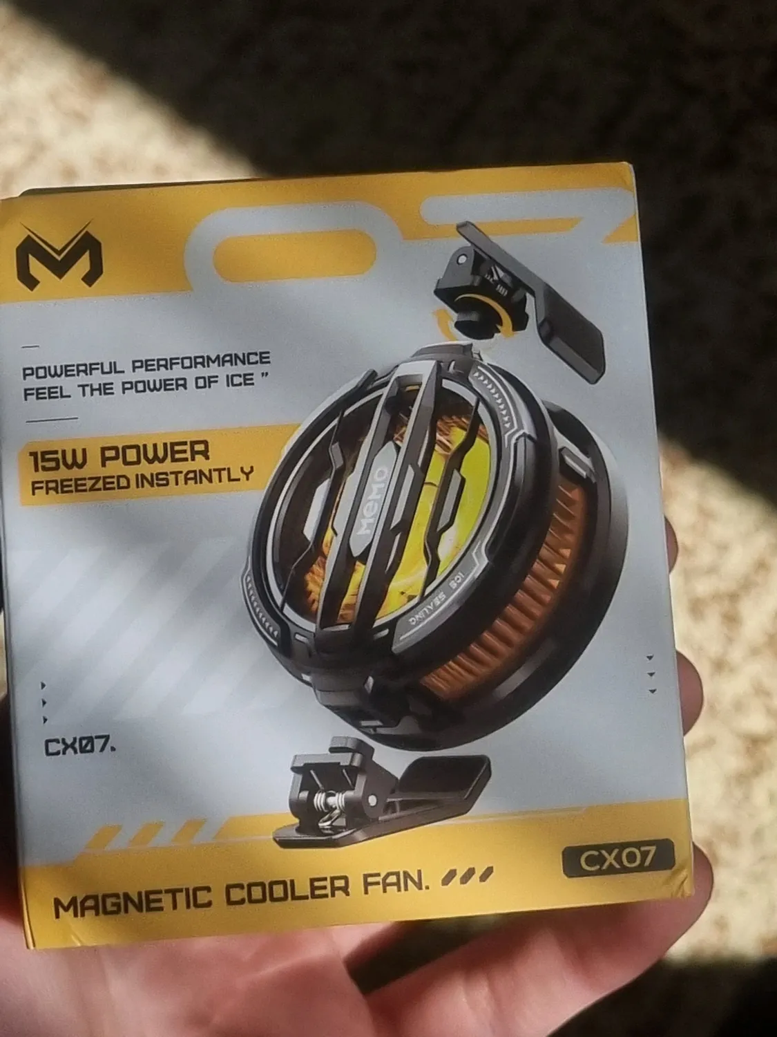 Ftohes magnetik
